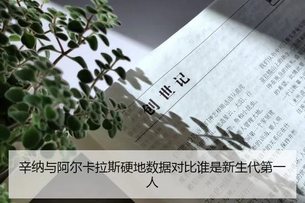 xin-na-yu-a-er-ka-la-si-ying-di-shu-ju-dui-bi-shui-shi-xin-sheng-dai-di-yi-ren-2-461.jpg