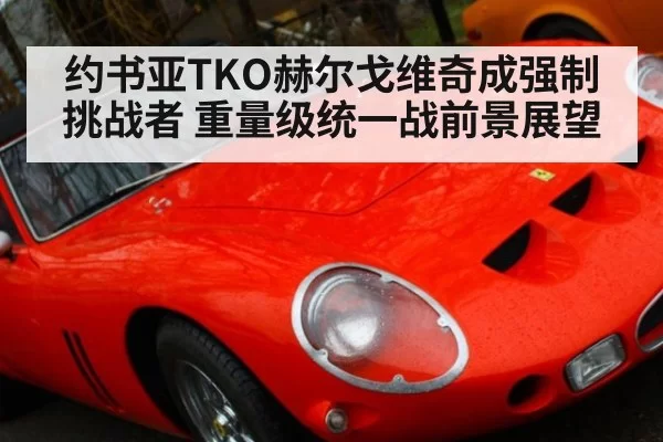 约书亚TKO赫尔戈维奇成强制挑战者 重量级统一战前景展望